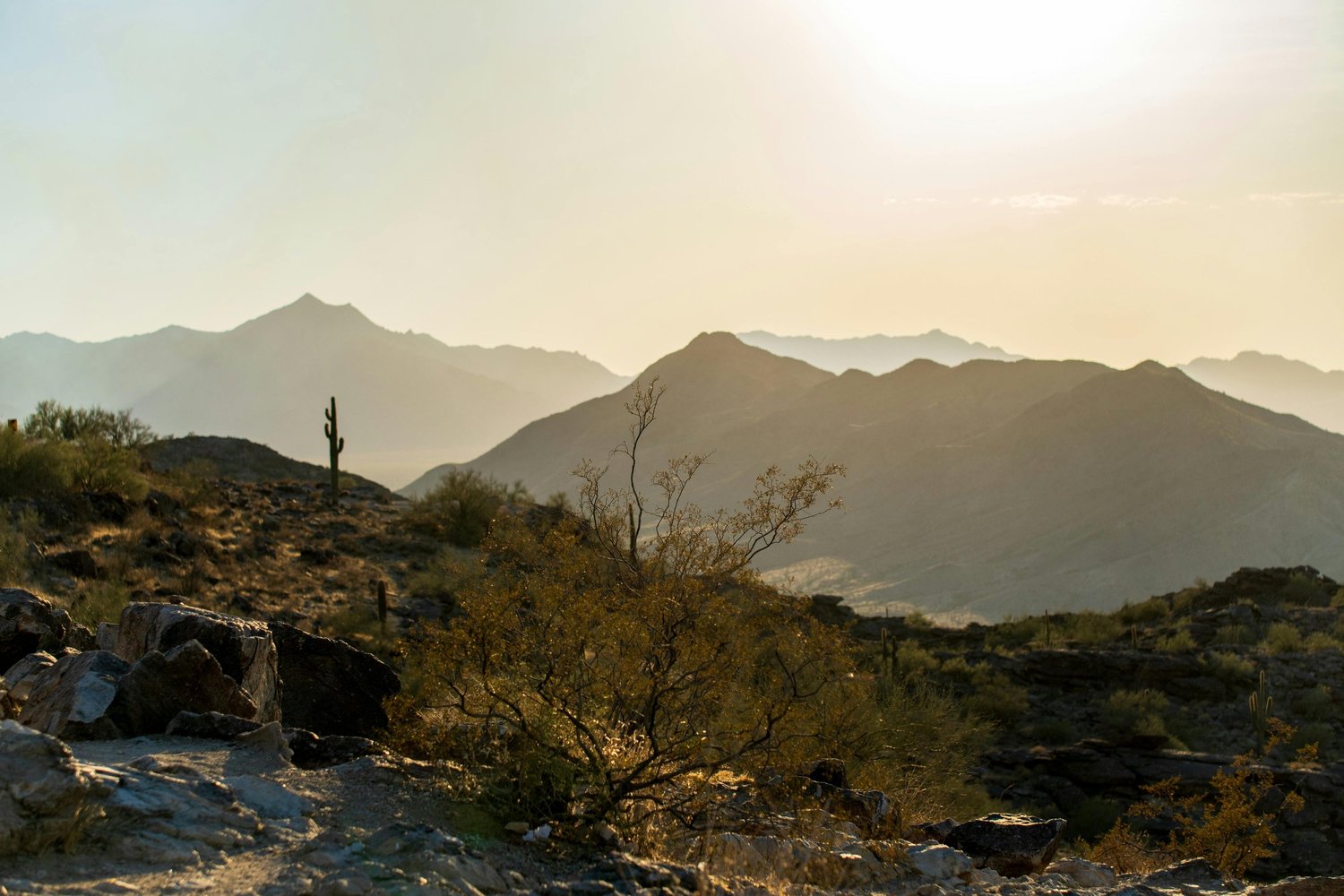 Arizona desert sunrise symbolizing emotional healing mental health wellness and OCD recovery support