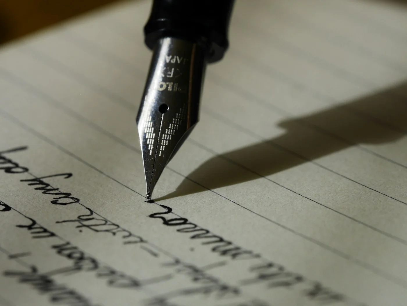 Close-up of a pen on a page, representing values and observations between ERP sessions