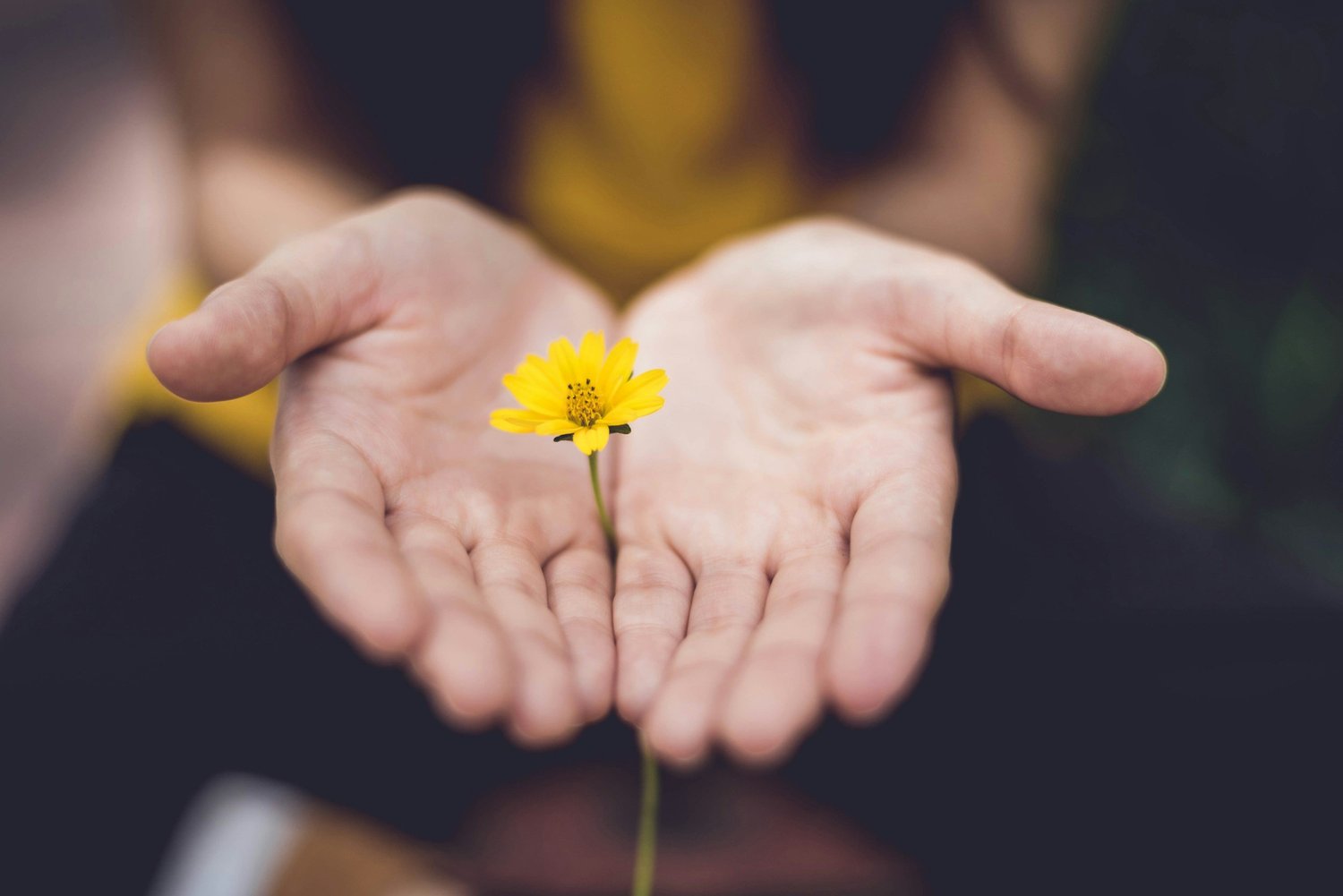 Awareness of Hidden &amp; Taboo OCD Themes: Breaking the Silence in OCD Treatment in Arizona