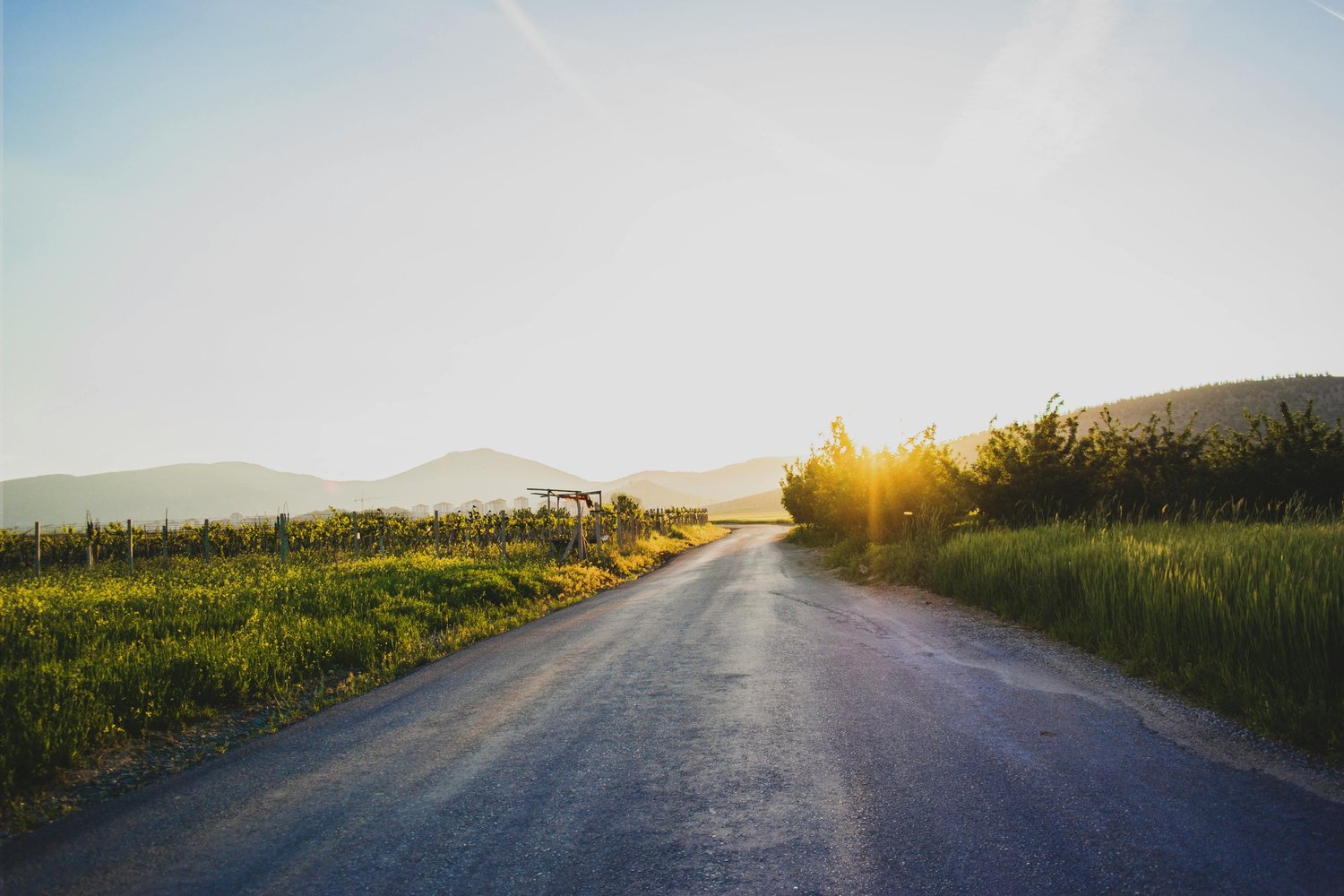 A sunlit path surrounded by nature, symbolizing hope, healing, and the journey toward mental wellness.