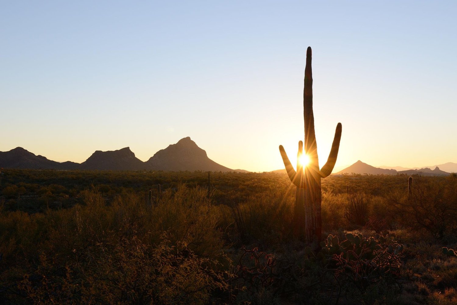 Arizona desert sunrise symbolizing hope through effective therapy for OCD.